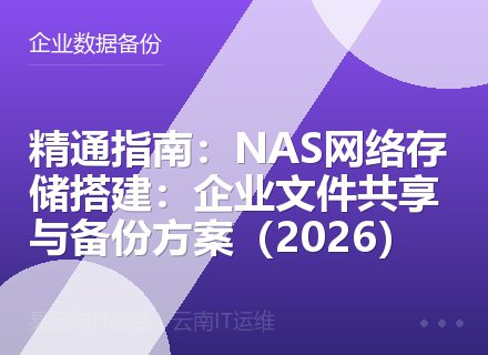 精通指南：NAS网络存储搭建：企业文件共享与备份方案（2026）