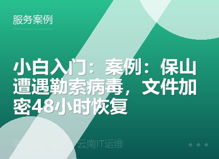 小白入门：案例：保山遭遇勒索病毒，文件加密48小时恢复