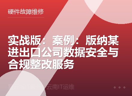 实战版：案例：版纳某进出口公司数据安全与合规整改服务