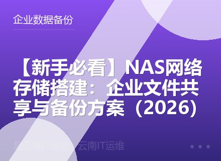 【新手必看】NAS网络存储搭建：企业文件共享与备份方案（2026）