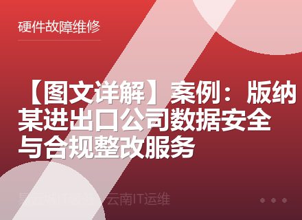 【图文详解】案例：版纳某进出口公司数据安全与合规整改服务