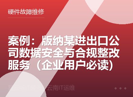 案例：版纳某进出口公司数据安全与合规整改服务（企业用户必读）