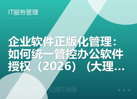 企业软件正版化管理：如何统一管控办公软件授权（2026） (大理丽江适用)