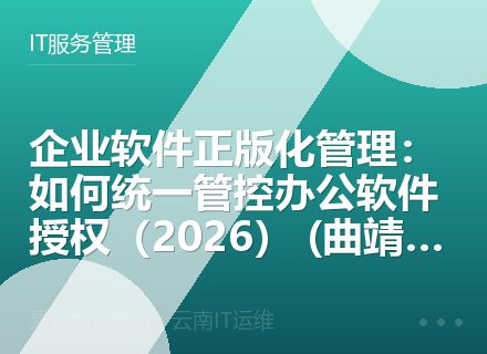 企业软件正版化管理：如何统一管控办公软件授权（2026） (曲靖昭通版)