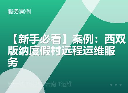 【新手必看】案例：西双版纳度假村远程运维服务
