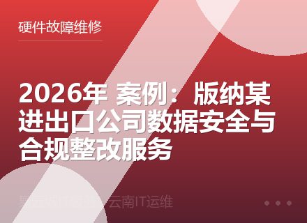 2026年 案例：版纳某进出口公司数据安全与合规整改服务