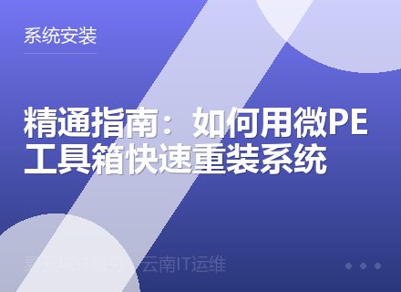 精通指南：如何用微PE工具箱快速重装系统