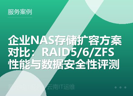 企业NAS存储扩容方案对比：RAID5/6/ZFS性能与数据安全性评测