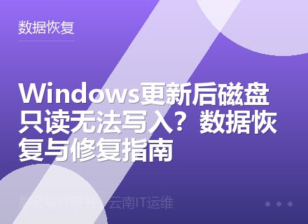 Windows更新后磁盘只读无法写入？数据恢复与修复指南
