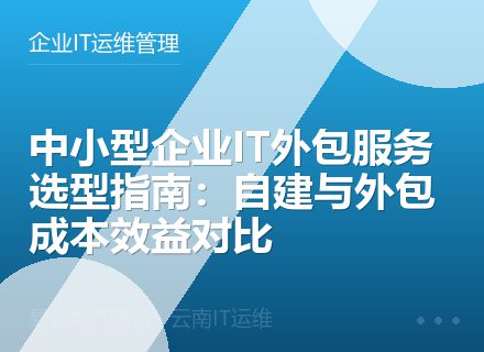 中小型企业IT外包服务选型指南：自建与外包成本效益对比