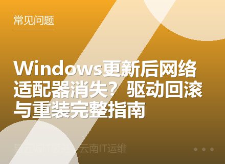Windows更新后网络适配器消失？驱动回滚与重装完整指南