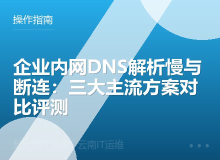 企业内网DNS解析慢与断连：三大主流方案对比评测