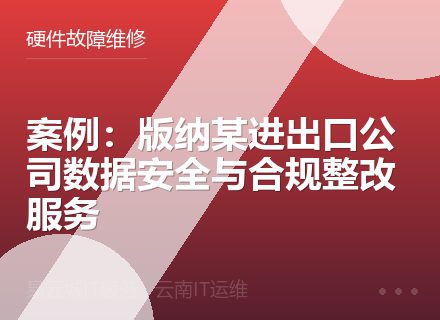案例：版纳某进出口公司数据安全与合规整改服务