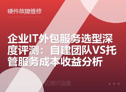 企业IT外包服务选型深度评测：自建团队VS托管服务成本收益分析