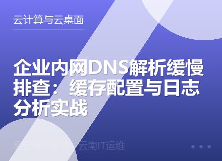企业内网DNS解析缓慢排查：缓存配置与日志分析实战