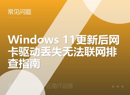 Windows 11更新后网卡驱动丢失无法联网排查指南