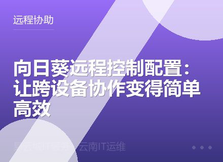 向日葵远程控制配置：让跨设备协作变得简单高效