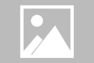 每日语录动态网站开源分享